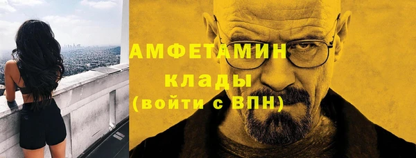 шишки Вязьма