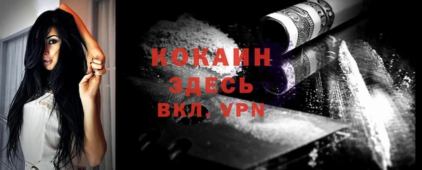 шишки Вязьма