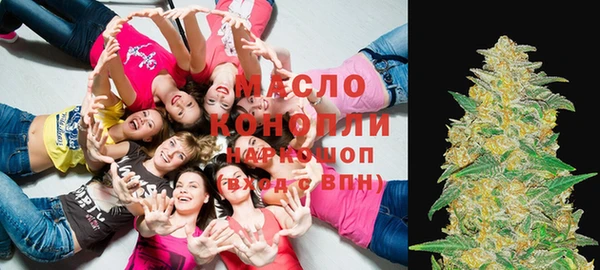 скорость Вяземский