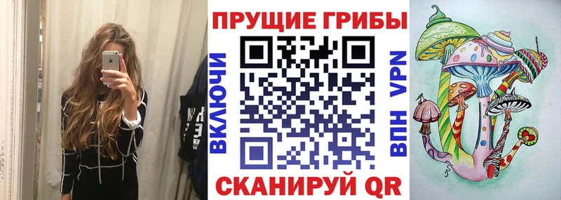 МЕГА ССЫЛКА  Задонск  Галлюциногенные грибы Cubensis  где можно купить наркотик 